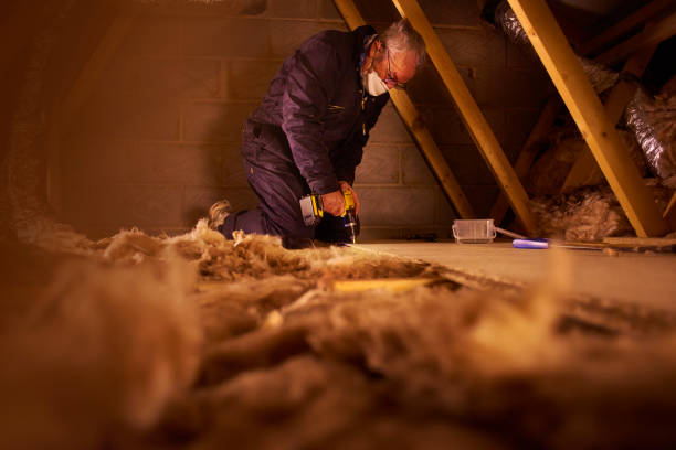 Best Insulation Removal Services  in New Berlinville, PA